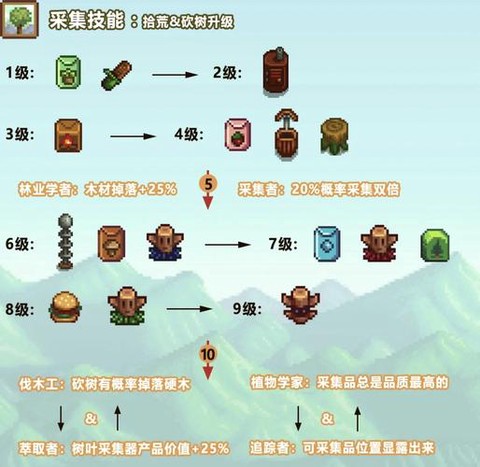 星露谷物语怎么打水