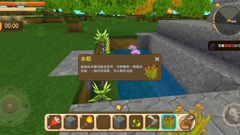 迷你世界怎么种水稻