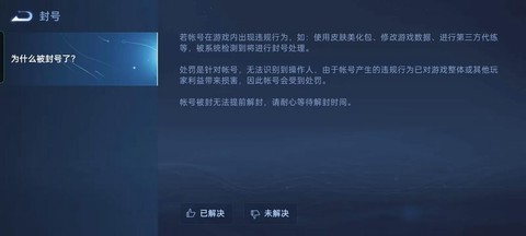 王者荣耀帐号是什么